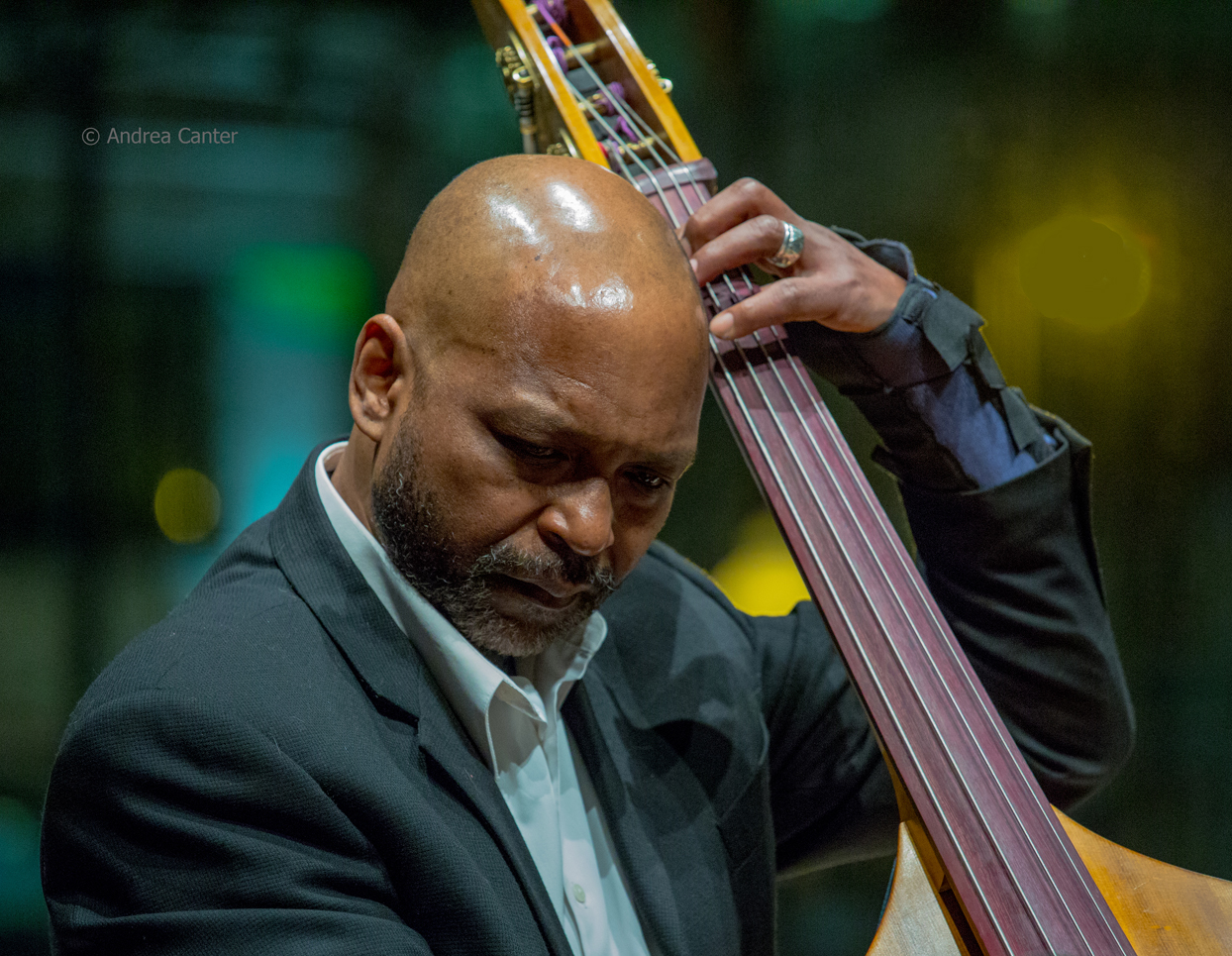 Secret Love – John Scofield